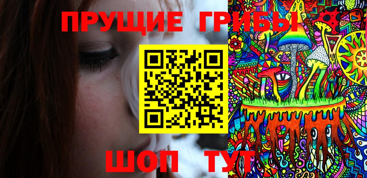 Галлюциногенные грибы прущие грибы  Вход с VPN  Славянск-на-Кубани  Галлюциногенные грибы Psilocybine cubensis 